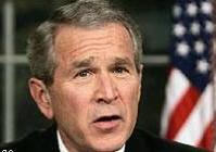 Bush, nihayet: Irak Vietnam gibi!