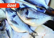 Balık çiftlikleri sunar:  Defolu balık!