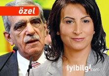 Kürt siyaseti Ergenekon’da ‘ne’ arıyor?