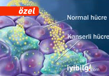 Sat�n ald���m�z g�dalarla nas�l zehirleniyoruz?
