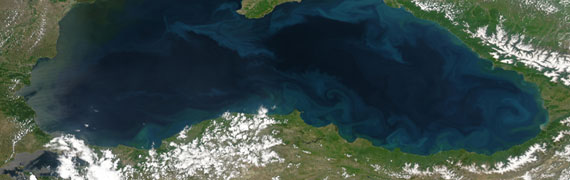 Karadeniz ölüyor
