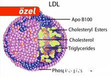 Kolesterol ilaçlarında neden iflah olmuyoruz?