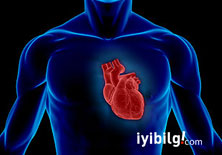 Sağlıklı kalp için sinyallere dikkat edin