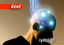 Ha gayret! Böyle böyle kukla olacağız