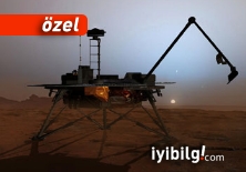 Mars'ta saklı hazine: Genlerimiz!