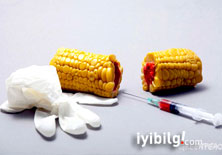 Biyoterör'ün kaynağı ülkeler...