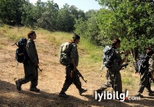 PKK'nın 'asayiş timi'ne baskın