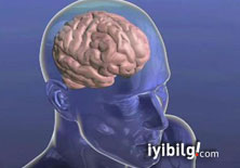 Televizyon beynin düşmanı  