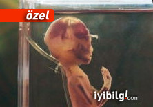 'Genetik Devrim' Çin'de başladı!