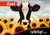 Çevrecilerin et düşmanlığı!