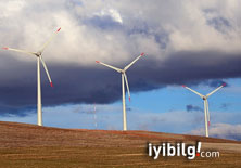 Partiler ''yeşil enerji''de birleşiyor